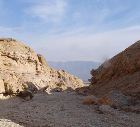Desert Architecture